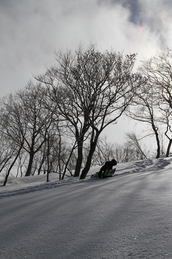 Powder Temple Hotel Hakuba Exterior photo